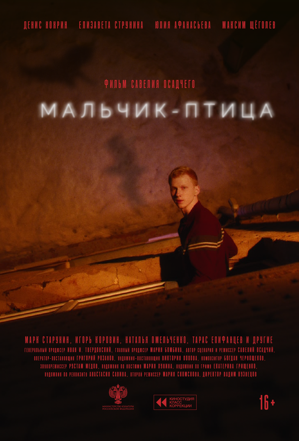 Мальчик-птица - постер фильма